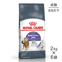 【2kg×6袋】ロイヤルカナン アペタイト コントロールおねだりの多い成猫用 生後12ヵ月齢以上 (猫・キャット) [正規品]