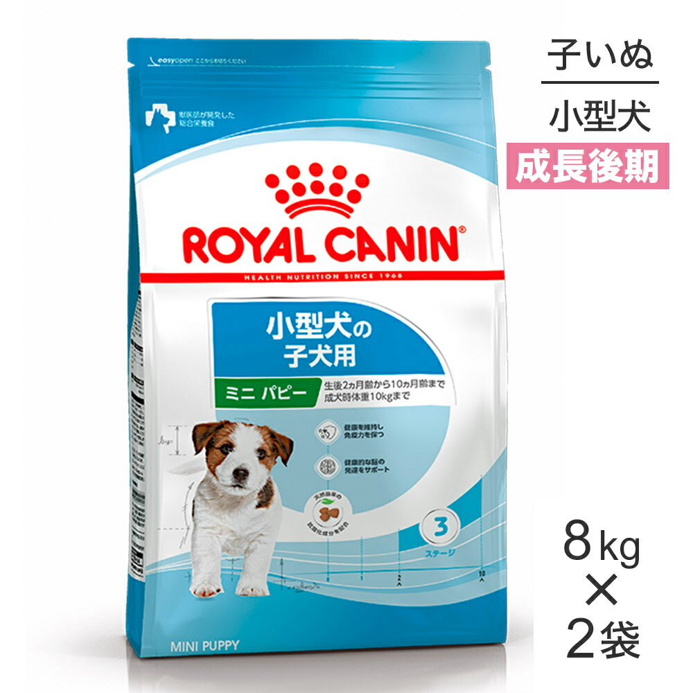 Domestic - 【8kg×2袋】ロイヤルカナン SHN ミニ パピー 小型犬 成長後期の子犬用 生後10ヵ月齢まで (犬・ドッグ)[正規品]