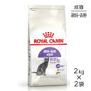 【最大400円オフクーポン■要事前取得】【2kg×2袋】ロイヤルカナン ステアライズド 避妊 去勢 成猫用 生後12ヵ月齢以上 (猫 キャット) 正規品