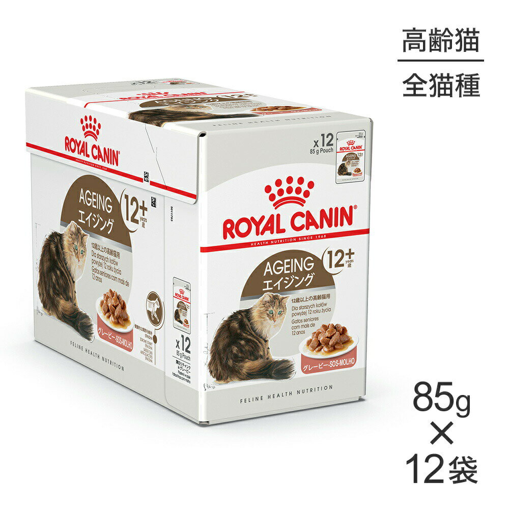 【マラソン中最大ポイント10倍※要エントリー】【85g 12袋】ロイヤルカナン FHN-WET エイジング12＋ 猫・キャット [正規品]