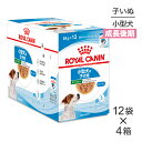 【マラソン中最大ポイント10倍※要エントリー】【85g×48袋】ロイヤルカナン ウェットフード ミニパピー 子犬用10ヶ月齢まで (犬・ドッグ)[正規品]