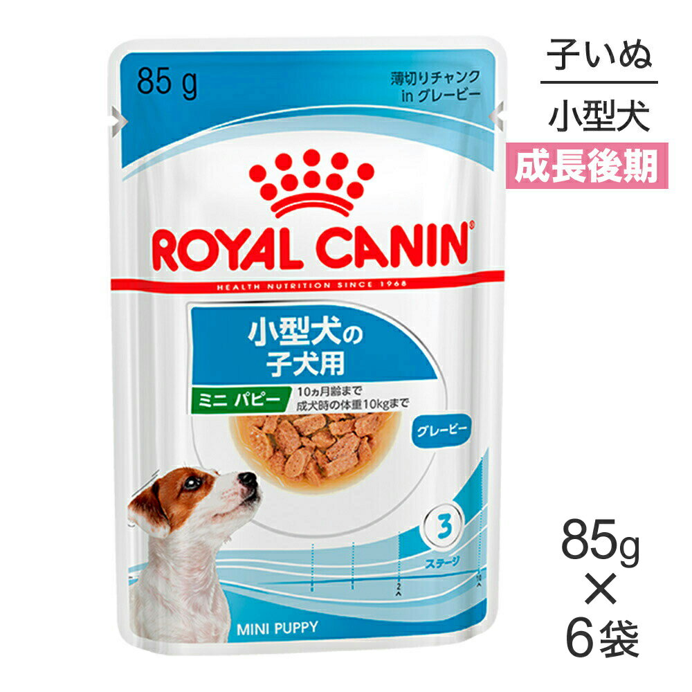 【最大400円オフクーポン■要事前取得】【メール便】【85g×6袋】ロイヤルカナン SHN-WET ミニパピー 小型犬 成長後期の子犬用 生後10ヵ月齢まで パウチ (犬・ドッグ)[正規品]
