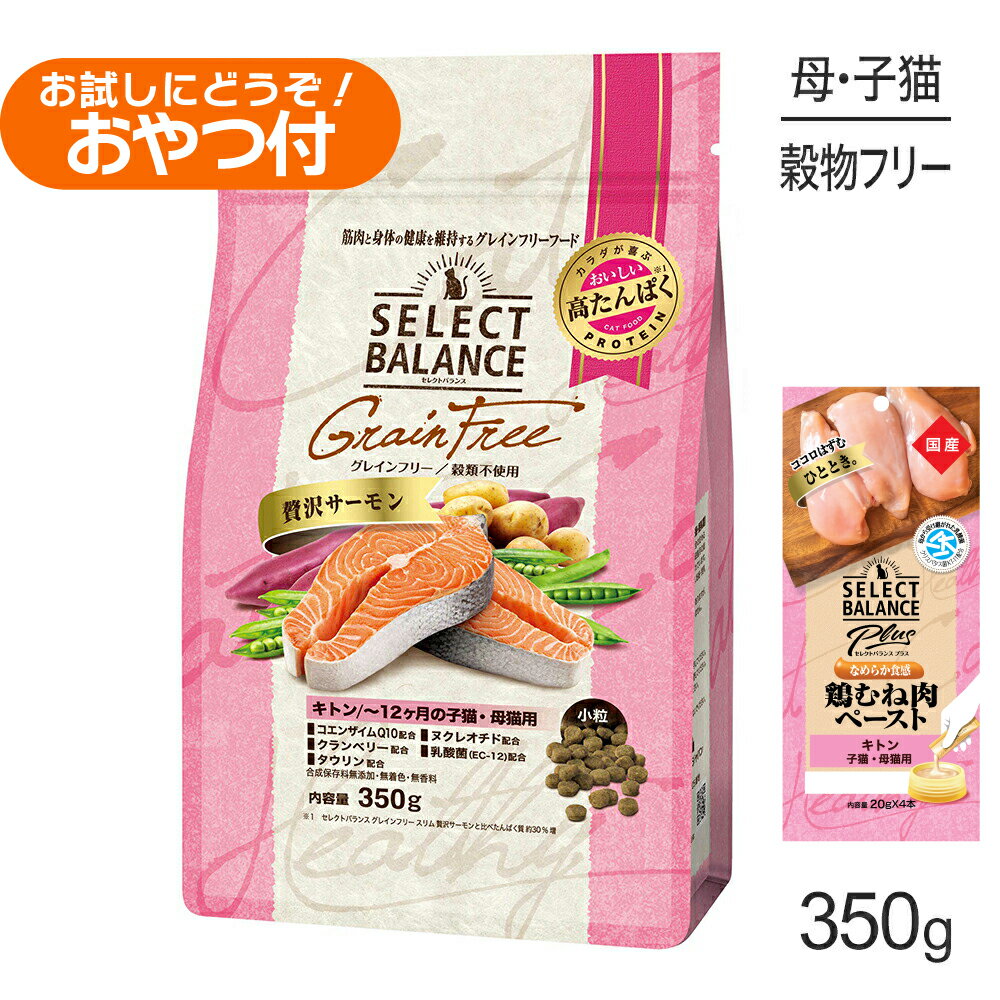 Other Wet Food - セレクトバランス グレインフリー キトン 贅沢サーモン 小粒 350g+子猫・母猫用 鶏むね肉ペースト 20g×4本(猫・キャット)