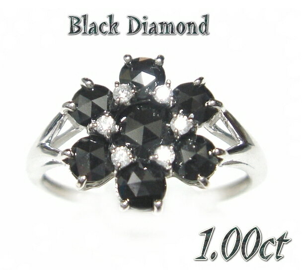 Ķòۥ㥹åȥե1.00ct֥åɥ