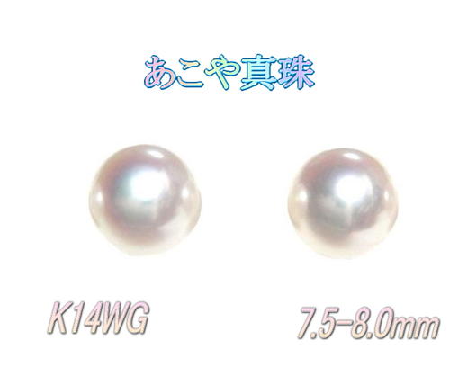 ּ餢䳭ܿK14WG7.5-8.0mmѡԥڳڥ_6Сۡڥӥ塼-ͥݥ̵