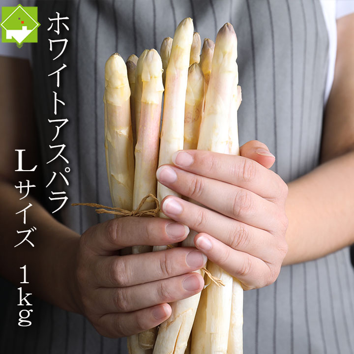 ѥ饬̳ƻ鿩ۥ磻ȥѥ齨Lʾ1kg
