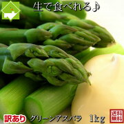 アスパラガス北海道富良野産生で食べれるグリーンアスパラ4Lサイズ1kg送料無料