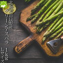 アスパラガス 北海道 富良野産 生で食べれる グリーンアスパラ 1kg Lサイズ 送料無料 ハウス栽培 別途送料が発生する地域あり 2025年ご予約販売 ギフト...