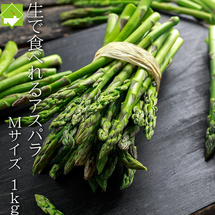 アスパラガス 北海道 富良野産 生で食べれる グリーンアスパラ 1kg Mサイズ ハウス栽培 送料無料 別途送料が発生する地域あり 2025年ご予約販売