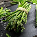 アスパラガス 北海道 富良野産 生で食べれる グリーンアスパラ 訳あり 4kg SからLサイズ混合 送料無料 別途送料が発生する地域あり 日時指定不可