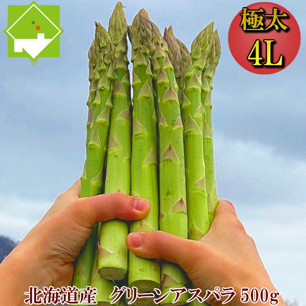 アスパラガス 北海道 富良野産 生で食べれる グリーンアスパラ 4Lサイズ 500g（10本前後） ハウス栽培