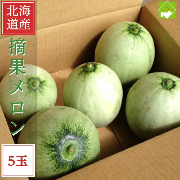 北海道 富良野産　摘果 メロン（テッカメロン）5玉