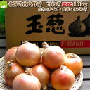 たまねぎ 訳あり 北海道 富良野産 低農薬栽 玉葱 10kg