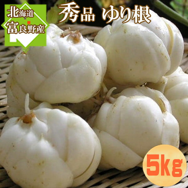 ゆり根 北海道富良野産 秀品 百合根 5kg 送料無料 別途送料が発生する地域がございます