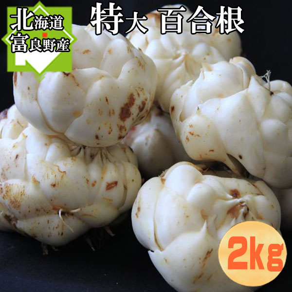 ゆり根 北海道富良野産 秀品 百合根 特大 2kg 10玉前後 送料無料 別途送料が発生する地域がございます
