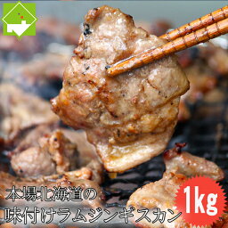 ジンギスカン 送料無料 味付け ラム ジンギスカン 500g 2袋　北海道旭川加工