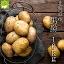 じゃがいも 男爵 送料無料 10kg S〜Lサイズ 北海道産 ジャガイモ 別途送料が発生する地域あり