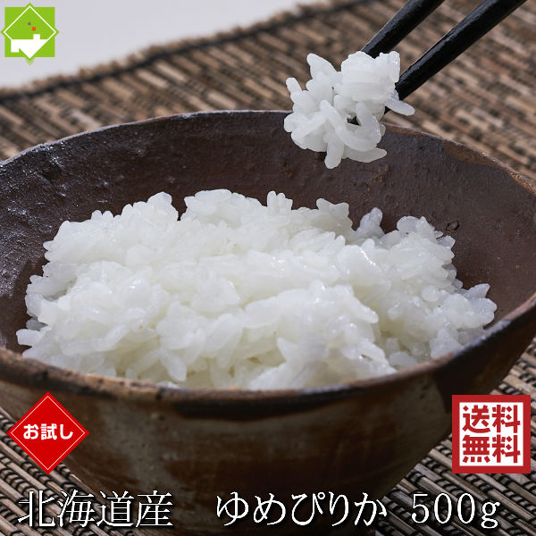 白米 500g 送料無料 ゆ