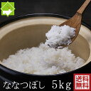 白米 5kg 送料無料 ななつぼし 北海道富良野産 秋収穫