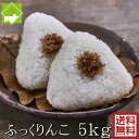 白米 5kg 送料無料 ふっくりんこ 北海道産 10月収穫 楽天スーパーSALE