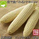 とうもろこし 送料無料 低農薬栽培 北海道産 生で食べれる 白いトウモロコシ ピュアホワイト Mから2Lサイズ混合 10本 別途送料が発生する地域あり 日時指定不可　8月発送開始