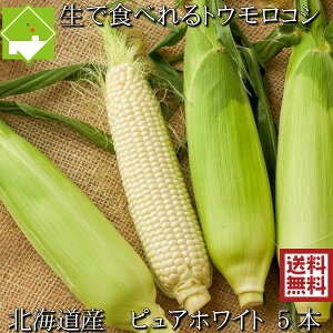 とうもろこし 送料無料 低農薬栽培 北海道産 生で食べれる 白いトウモロコシ ピュアホワイト 5本 別途送料が発生する地域あり 日時指定不可　7月下旬発送開始