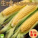 生で食べれるとうもろこし 恵味（めぐみ） 産地：北海道富良野産 名称：とうもろこし 品種：恵味（めぐみ） 特徴：生で食べられるフルーツとうもろこしです。 粒が柔らかく小粒で糖度は18度前後あります。（天候などにより糖度が2度前後上下しますことを何卒、ご了承ください。） 味来（みらい）などの品種に比べ、俵が大きい・糖度が高く、鮮度が落ちづらい・皮が柔らかいので歯に挟まりづらく食べやすい。 サイズ/内容量：2Lサイズ 8本 2Lサイズは18cm以上300g前後の大きさになります。 箱のデザインは変更になる場合もございます 配送方法：冷蔵便 保存方法： 10℃以下で保存（要冷蔵） 同梱で送料無料　手作り知床ベーコン 手作り富良野バター 配送時期・配送方法 発送時期：8月下旬〜9月下旬 商品発送開始は、ご予約順での発送となります ご希望のお届日、ご不在日がございましたら、ご注文時に備考欄に記載お願いいたします。 配送方法 佐川急便・ゆうパック 地域により運送業者が異なります。運送会社ののご指定が出来ない地域がございます。 時間指定可能 ■■■配送について■■■ ■冷蔵便 到着後はお早めにお召し上がりください。生で食べれるトウモロコシ 恵味（めぐみ）　10本入り