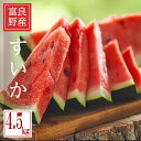 2025年ご予約販売 すいか 北海道 富良野産 へそスイカ 1玉 4.5kg 送料無料 別途送料が発生する地域あり
