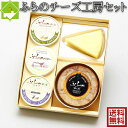 チーズ 送料無料 富良野チーズ工房セット 3 手作りチーズ 手づくりバター 詰合せ 北海道 お土産 ギフト バレンタイン 母の日 父の日 ホワイトデー 別途送料...