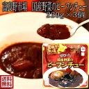 ビーフシチュー レトルト 北海道 富良野市場 ゴロッと国産野菜のビーフシチュー 3個 送料無料