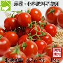 トマト 送料無料 農薬使用ゼロ 完熟 ミディトマト 1kg 北海道産 別途送料が発生する地域あり 日時指定不可 7月下旬発送開始