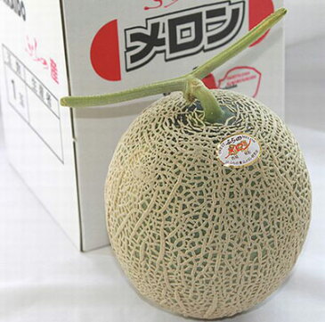 遅れてゴメンネ父の日ギフト ふらのメロン 北海道富良野産 赤肉メロン 2Lサイズ 1玉 送料無料 お中元ギフト