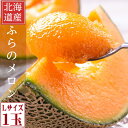 ふらのメロン 北海道 富良野産 赤肉メロン Lサイズ (1.2kg前後) 1玉 送料無料 お中元ギフト 日時指定不可 別途送料が発生する地域あり 別途送料が発生...
