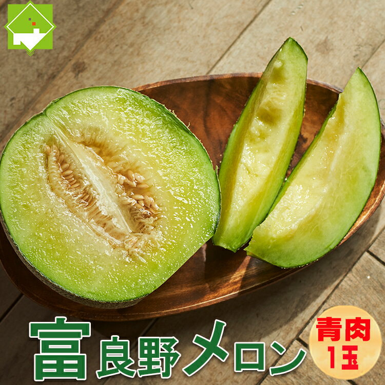 2025年ご予約販売 ふらのメロン 北海道富良野産 青肉メロン 2Lサイズ 1玉 送料無料 お中元ギフト 日時指定不可 ご予約販売