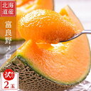 2025年ご予約販売 ふらのメロン 北海道富良野産 赤肉メロン 訳あり 2Lサイズ 2玉 送料無料 お中元ギフト 日時指定不可 ご予約販売