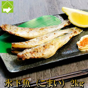 こまい 一夜干し 生干し 北海道産 2kg 送料無料 氷下魚別途送料が発生する地域あり