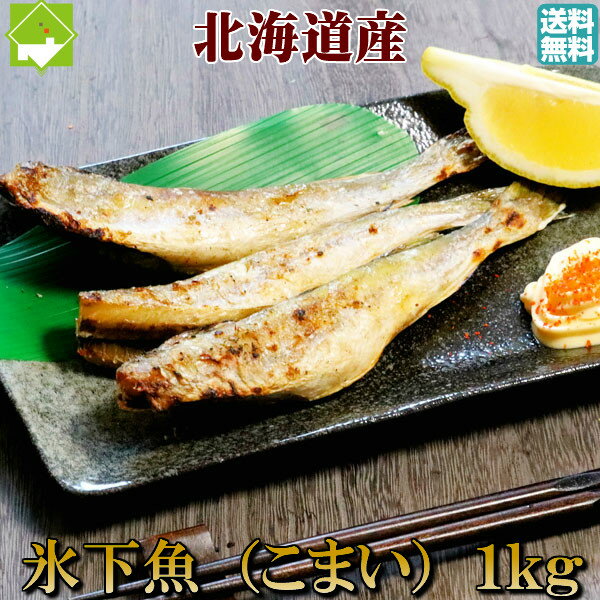 こまい 一夜干し 生干し 北海道産 1kg 送料無料 氷下魚別途送料が発生する地域あり