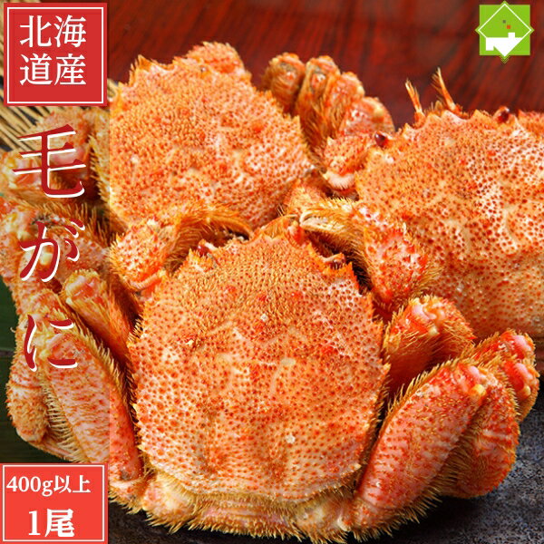 毛ガニ お歳暮 お中元 北海道産 毛蟹 1尾 400g以上 送料無料 別途送料が発生する地域あり