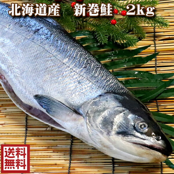 鮭 さけ 北海道産 新巻鮭 1本まるごと 2kg以上 送料無料 別途送料が発生する地域あり