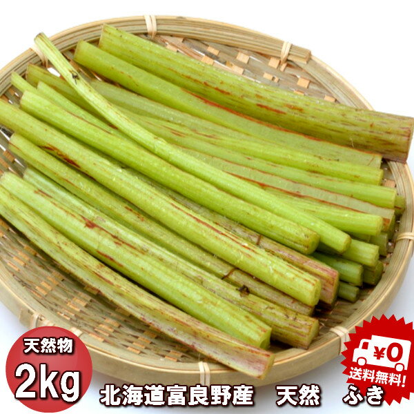 山菜 ふき 北海道産 天然物 フキ 2kg　日時指定不可