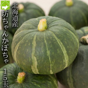 かぼちゃ 送料無料 北海道 富良野産 坊ちゃんかぼちゃ 15玉