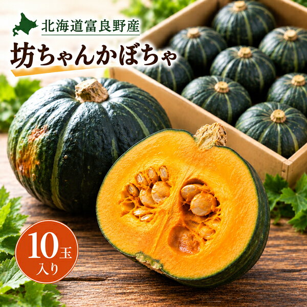 かぼちゃ 坊ちゃんかぼちゃ 10玉 送料無料 北海道 富良野産 ミニかぼちゃ ボッチャン カボチャ ぼっちゃん 野菜 北海道産 産地直送 お取り寄せ グルメ ギフト 贈答用 野菜ギフト