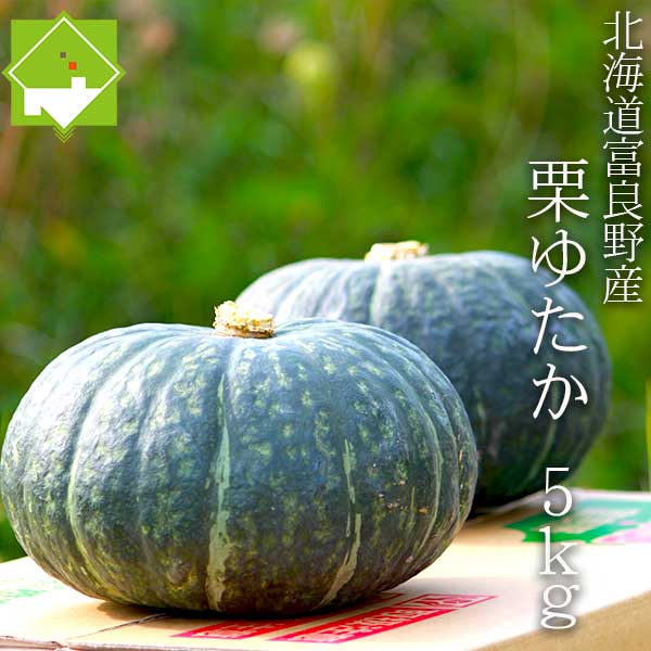 かぼちゃ 北海道 富良野産 栗ゆたか 5kg 2から4玉入り