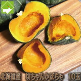 かぼちゃ 送料無料 北海道 富良野産 坊ちゃんかぼちゃ 10玉