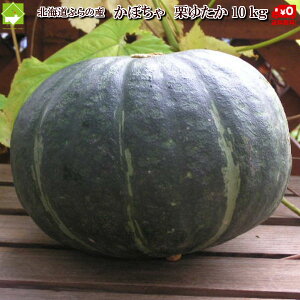 かぼちゃ 北海道 富良野産 栗ゆたか 10kg 4から8玉入り