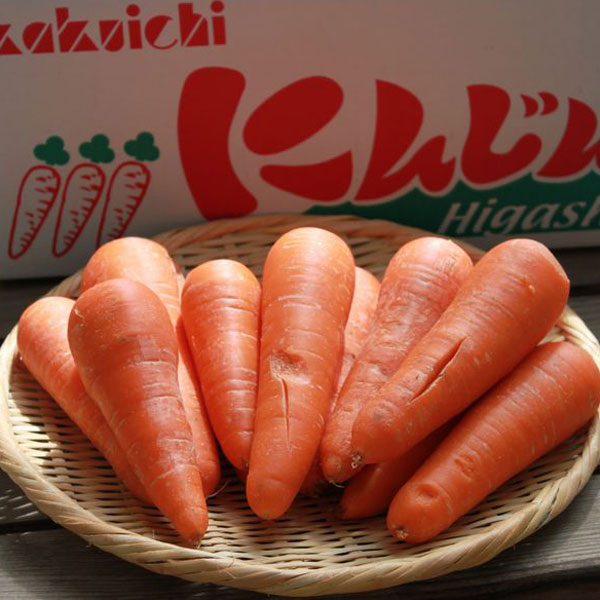 にんじん 訳あり 10kg 北海道 富良野産 人参 送料無料 別途送料が発生する地域あり...