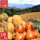 北海道産 低農薬 野菜セット 10kg詰め 詰め合わせ 新鮮 今が旬 野菜 鍋 ギフト お中元 プレゼント 送料無料 国産野菜 健康 減農薬 旬の野菜 一人暮ら...