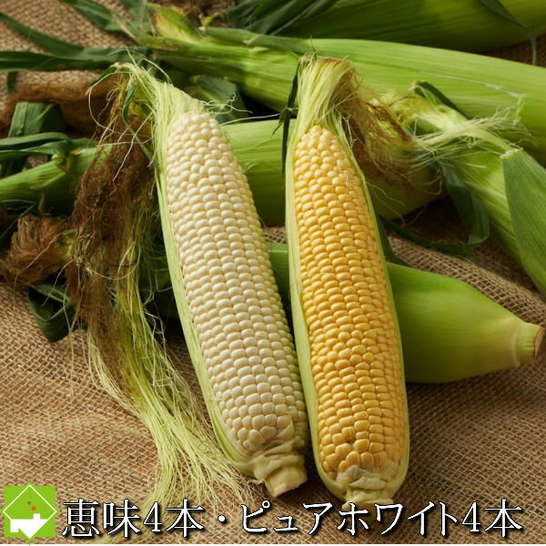 とうもろこし 食べ比べ 北海道富良野産　2色の　トウモロコシセット　ピュアホワイト4本・恵味4本　合計8本　送料無…