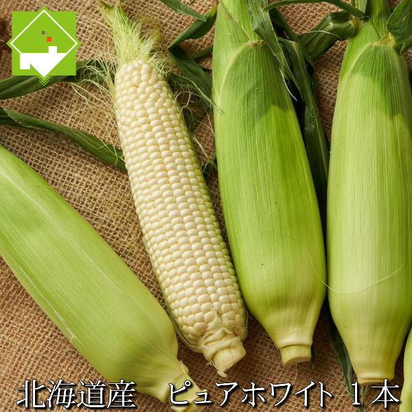 とうもろこし 北海道 富良野産 ピュアホワイト 1本