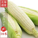 訳あり とうもろこし ピュアホワイト 10本入り 北海道産 送料無料 訳あり品 (小さいサイズ・細いサイズ・実入りの悪い物)